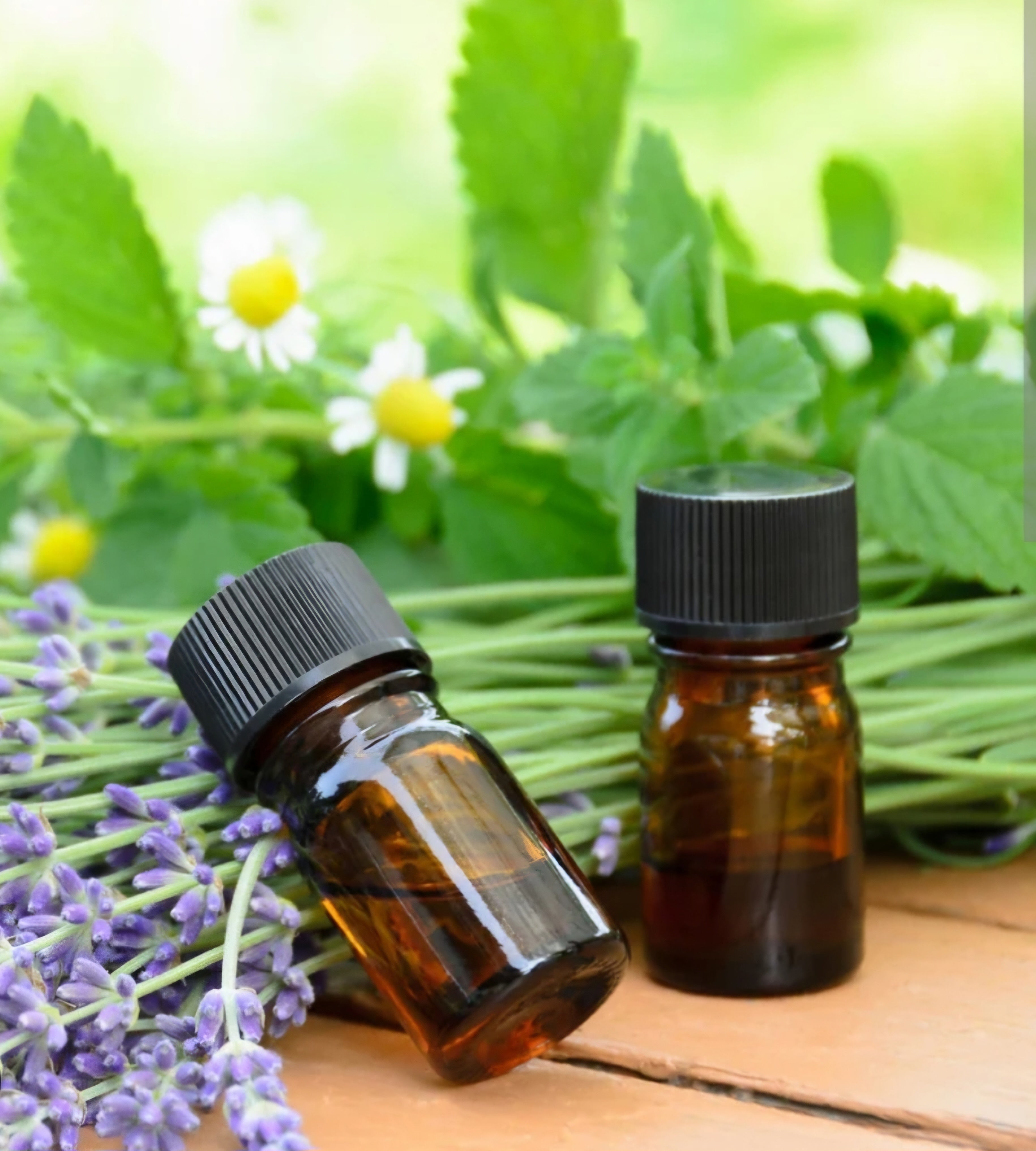 Aromaterapia: Una Experiencia Sensorial con Velas de Soja