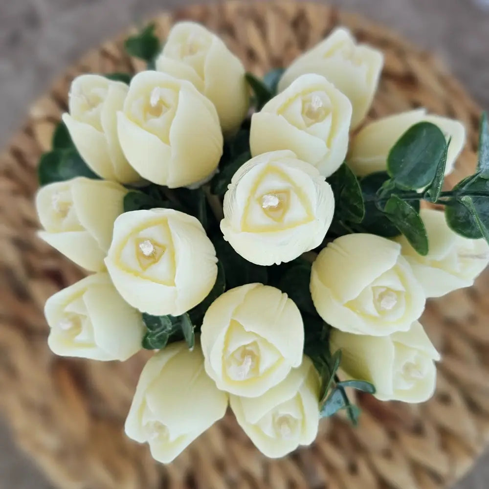 Bouquet Aromático Tulipa