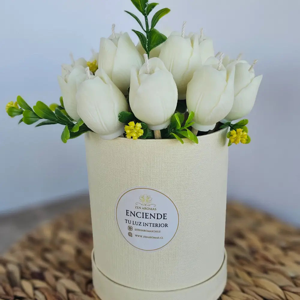 Bouquet Aromático Tulipa