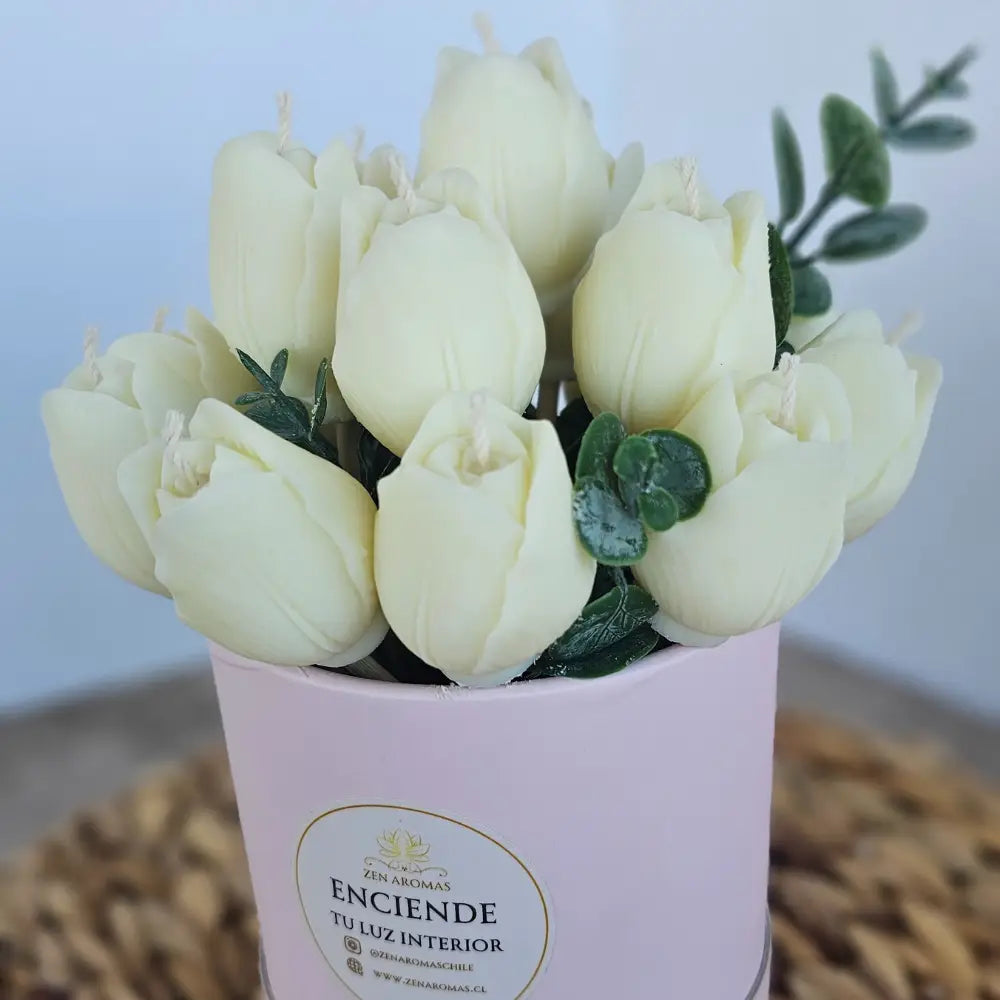 Bouquet Aromático Tulipa
