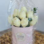 Bouquet Aromático Tulipa