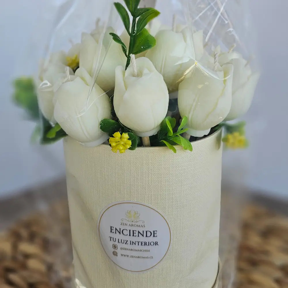 Bouquet Aromático Tulipa