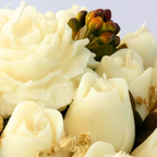 Bouquet Aromático Gran Tulipa
