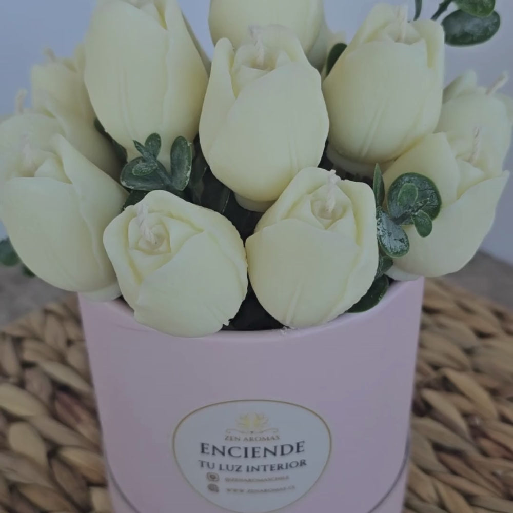 Bouquet Aromático Tulipa