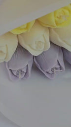 Tulip Bloom